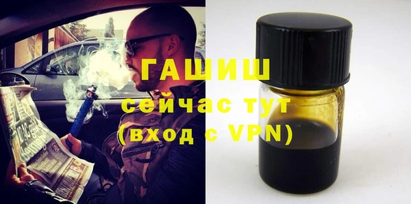 сатива Бородино