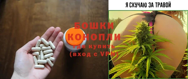 индика Бугульма