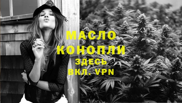 сатива Бородино