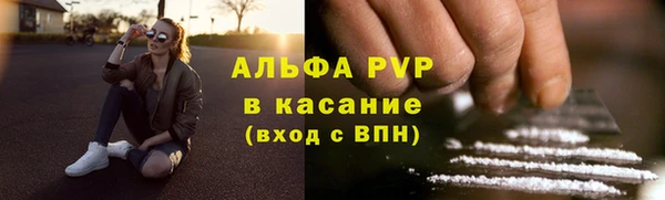 сатива Бородино