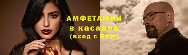 сатива Бородино