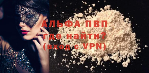 индика Бугульма