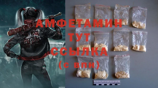 сатива Бородино