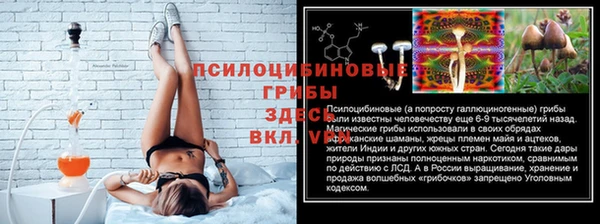 индика Бугульма