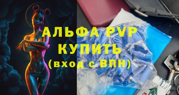 сатива Бородино