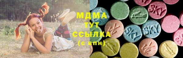 сатива Бородино