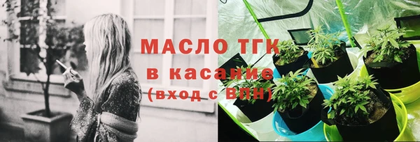 индика Бугульма