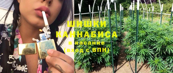 сатива Бородино