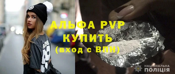 индика Бугульма