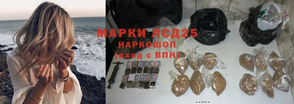 сатива Бородино