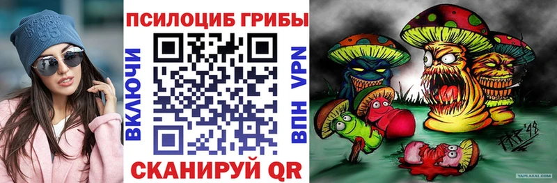 Псилоцибиновые грибы прущие грибы  Великий Новгород 